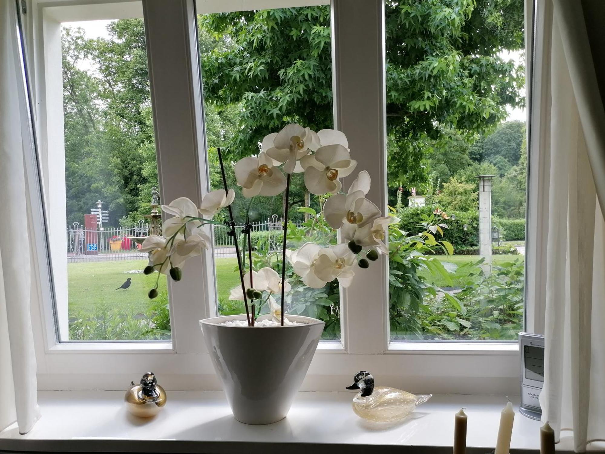Apartment Claas Am